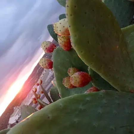 Trigona Garden Гостевой дом *
