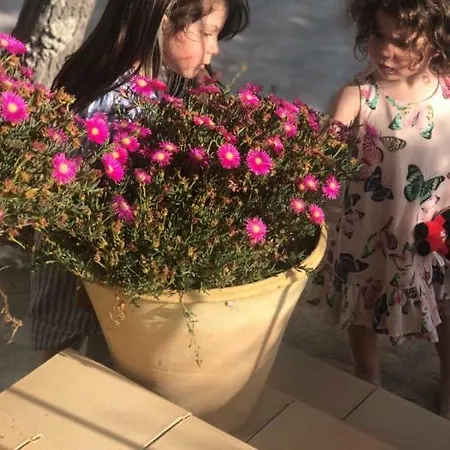 Trigona Garden * Noto
